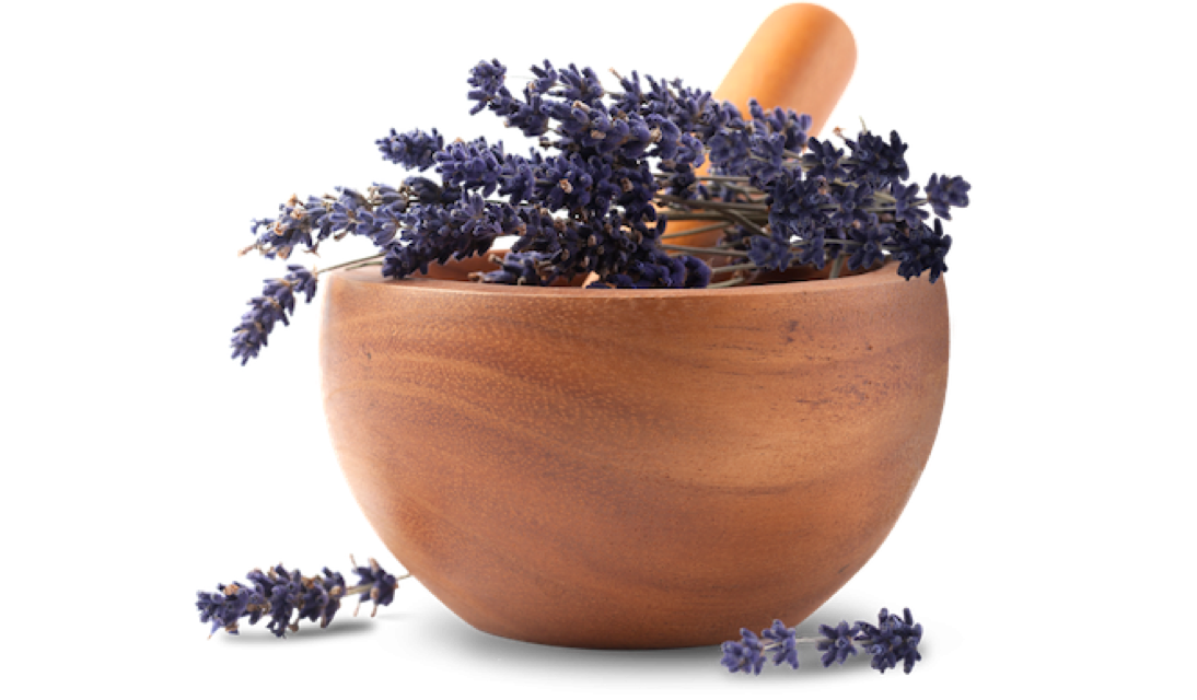 Merchant product bowl lavender generic